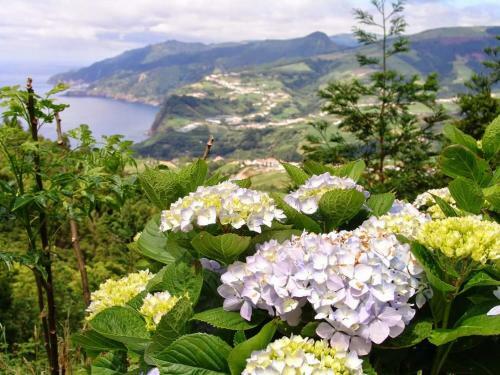 Hostal P�rola Achadense Guesthouse