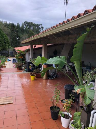 Apartamento Casita Del R�o