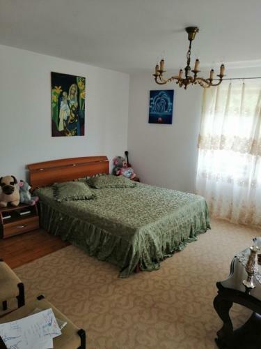 Casa Ilea-agapia"