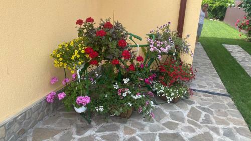 Agroturismo Casa de Vacanta - Ograda Cu Flori