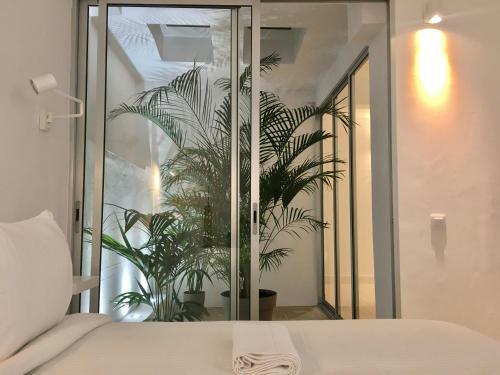 Apartamento Deluxe La Palma