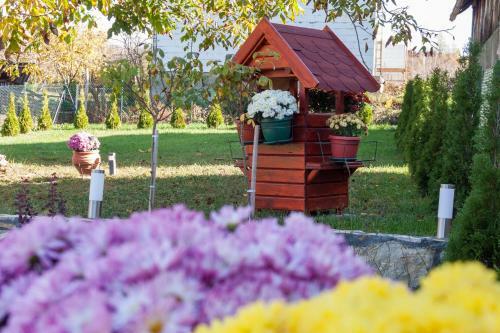 Apartmani Bojana