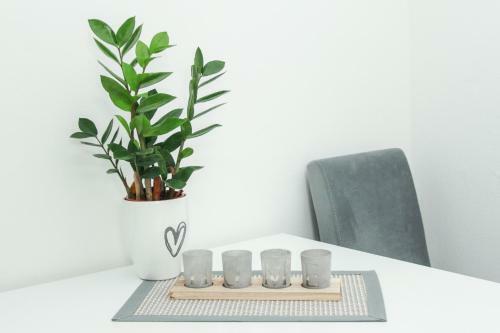Apartmani Bojana