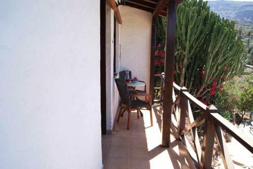 Agroturismo Casa Rural El Olivar La Oliva