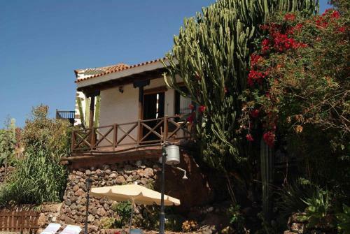 Agroturismo Casa Rural El Olivar La Oliva