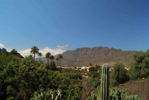 Agroturismo Casa Rural El Olivar La Oliva