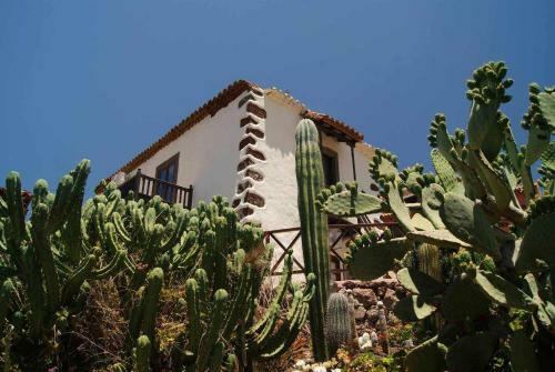 Agroturismo Casa Rural El Olivar La Oliva