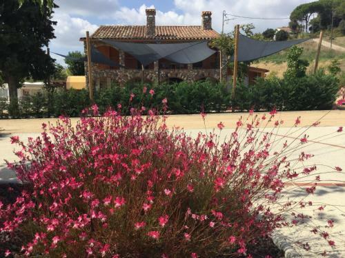 Agroturismo Mas Segart