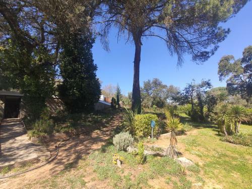 Villa Victoria N�30