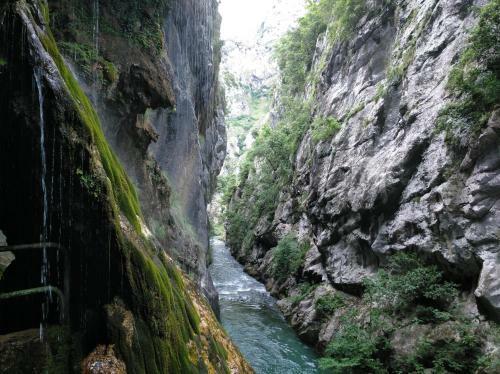 Apartamento Picos De Europa