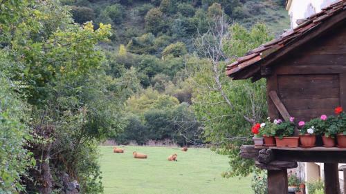 Apartamento Picos De Europa