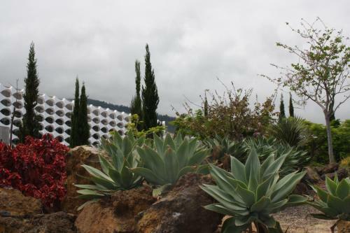 Apartamento Sissi Boutique - The Terrace Between Ocean And Teide