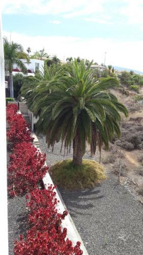 Apartamento Sissi Boutique - The Terrace Between Ocean And Teide