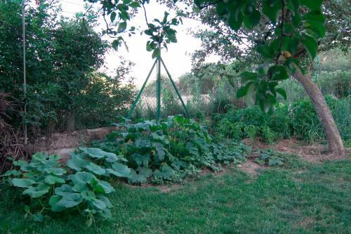 El Jardin De Manuela