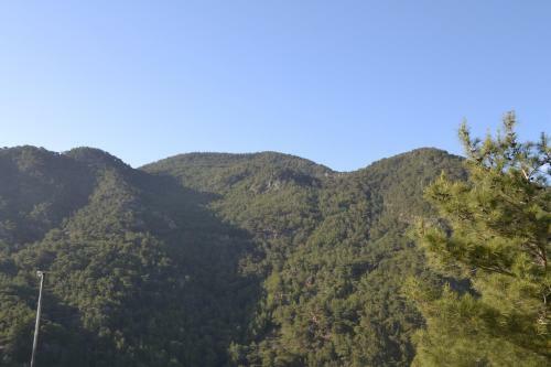 Apartamento Luxury Granada City Appartment