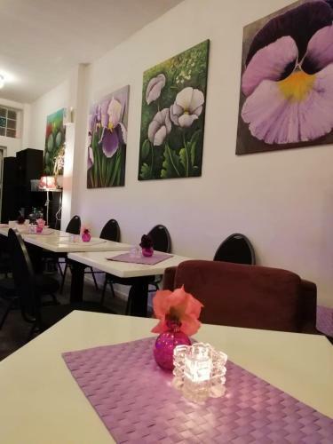 Bed & Breakfast Pension Art Galerie