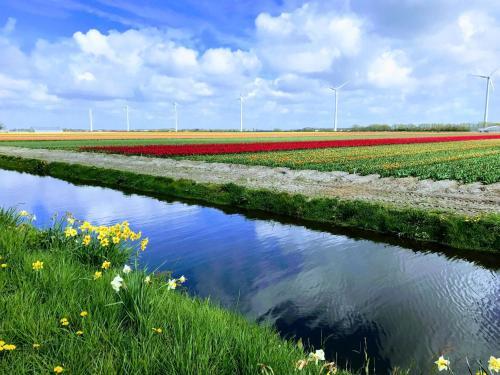 Apartamento De Windroos | Atelier Aan Zee