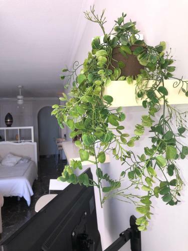 Apartamento Estudio Vista Los Gigantes