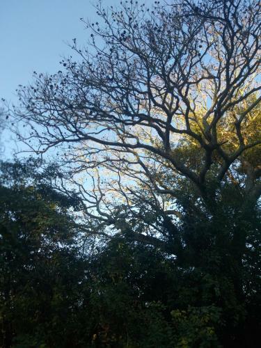 Agroturismo El Tero, Loreto