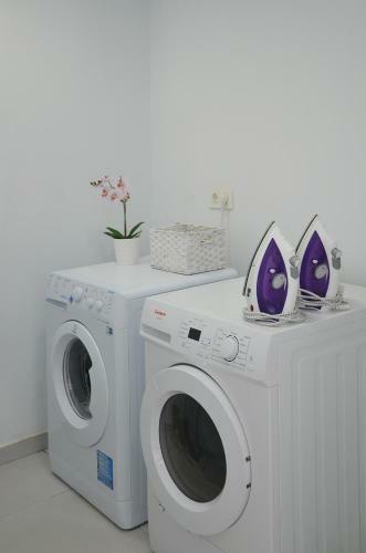 Apartamento Canary Lofts