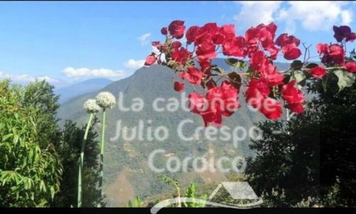 La Caba�a De Julio Crespo - Coroico