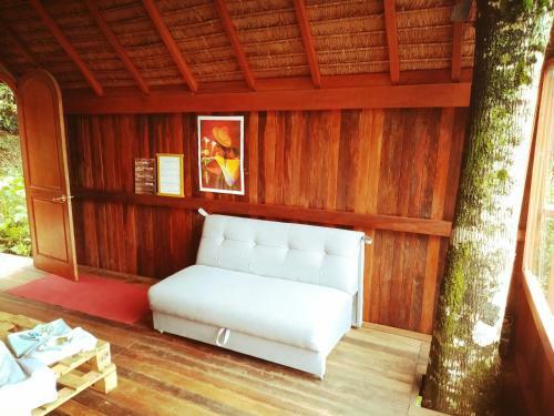 Hotel La Jungla