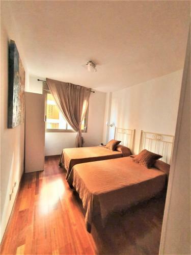 New Estrelitzia Luxury Apartamen