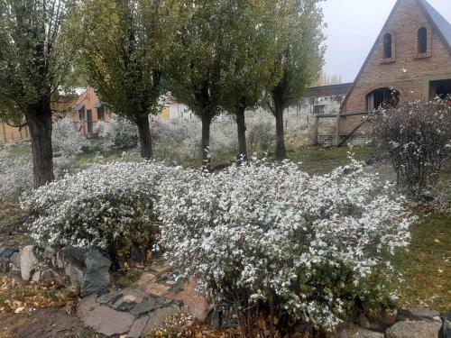 Monta�a, Sol Y Nieve