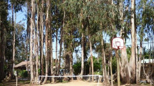 Apartamento Condominio Costa Algarrobo Norte