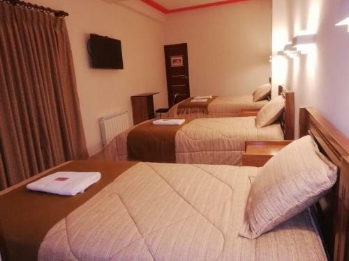 Hotel Los Andes Del Sur