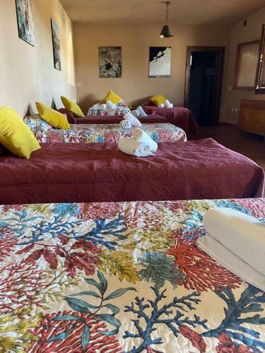 Finca Espacio Rural En Arico Tenerife