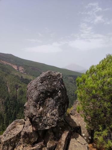 Finca Espacio Rural En Arico Tenerife