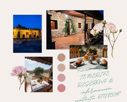 Finca Espacio Rural En Arico Tenerife
