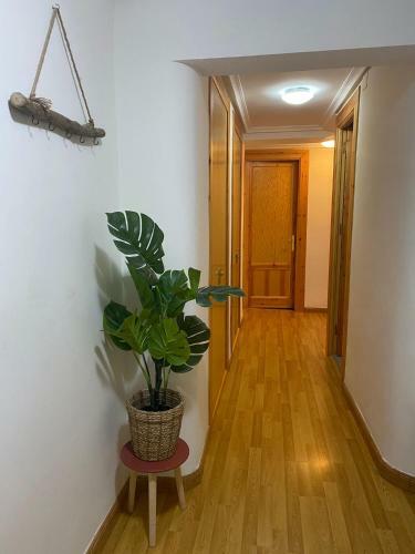 Apartamento Puro Encanto En El Coraz�n de Santo Domingo