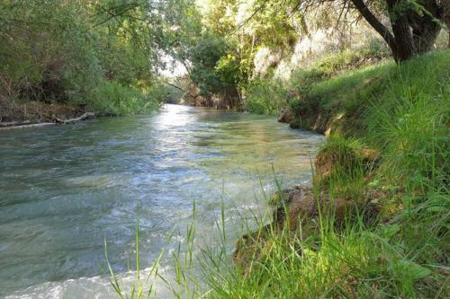 Cortijo El Retamar