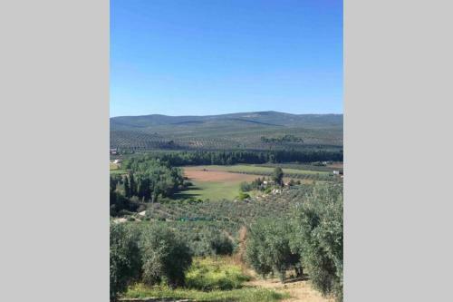 Cortijo El Retamar