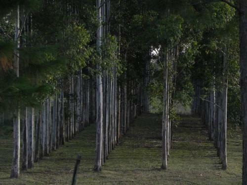 Agroturismo Estancia Turistica La Providencia