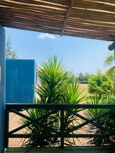 Apartamento Verde Termal