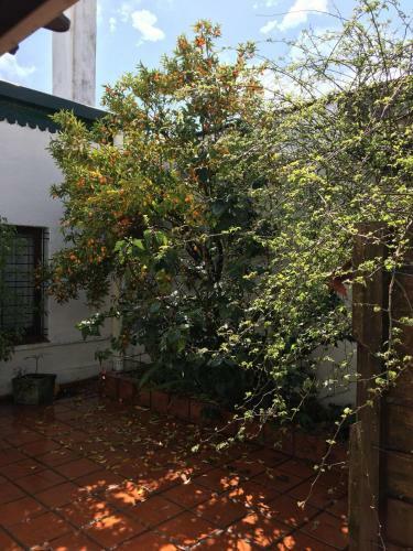 Apartamento Casa C�lida