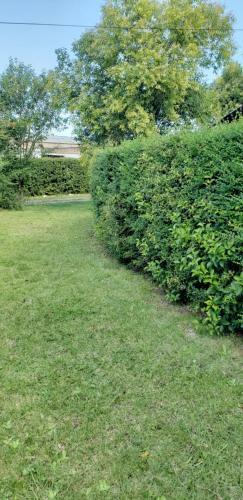 Apart Hotel Amter