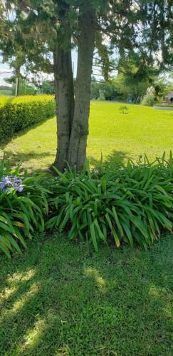Apart Hotel Amter