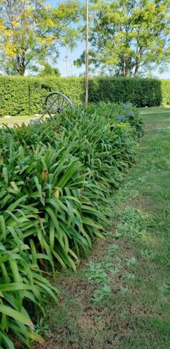 Apart Hotel Amter