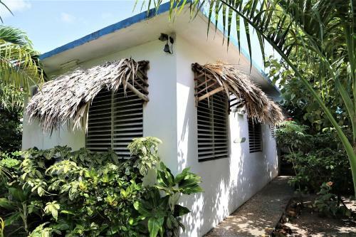 The Gecko Bungalow**beautiful Pool**free Airport Shuttle