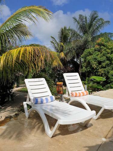 The Gecko Bungalow**beautiful Pool**free Airport Shuttle
