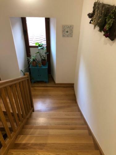 Maistraren Etxea Evi00179
