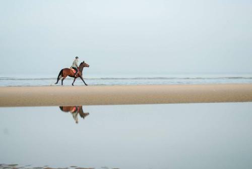 El Mirador De Mer�n