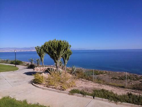Vistas Infinitas Sobre El Mar-infinite Views On The Sea