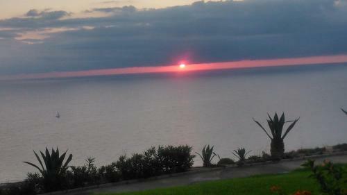 Vistas Infinitas Sobre El Mar-infinite Views On The Sea