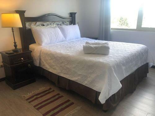 Apartamento Comfortable & Convenient Apt For Groups In Zone 10