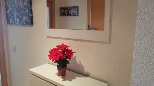Apartamento Con Tres Dormitorios Vista Mar